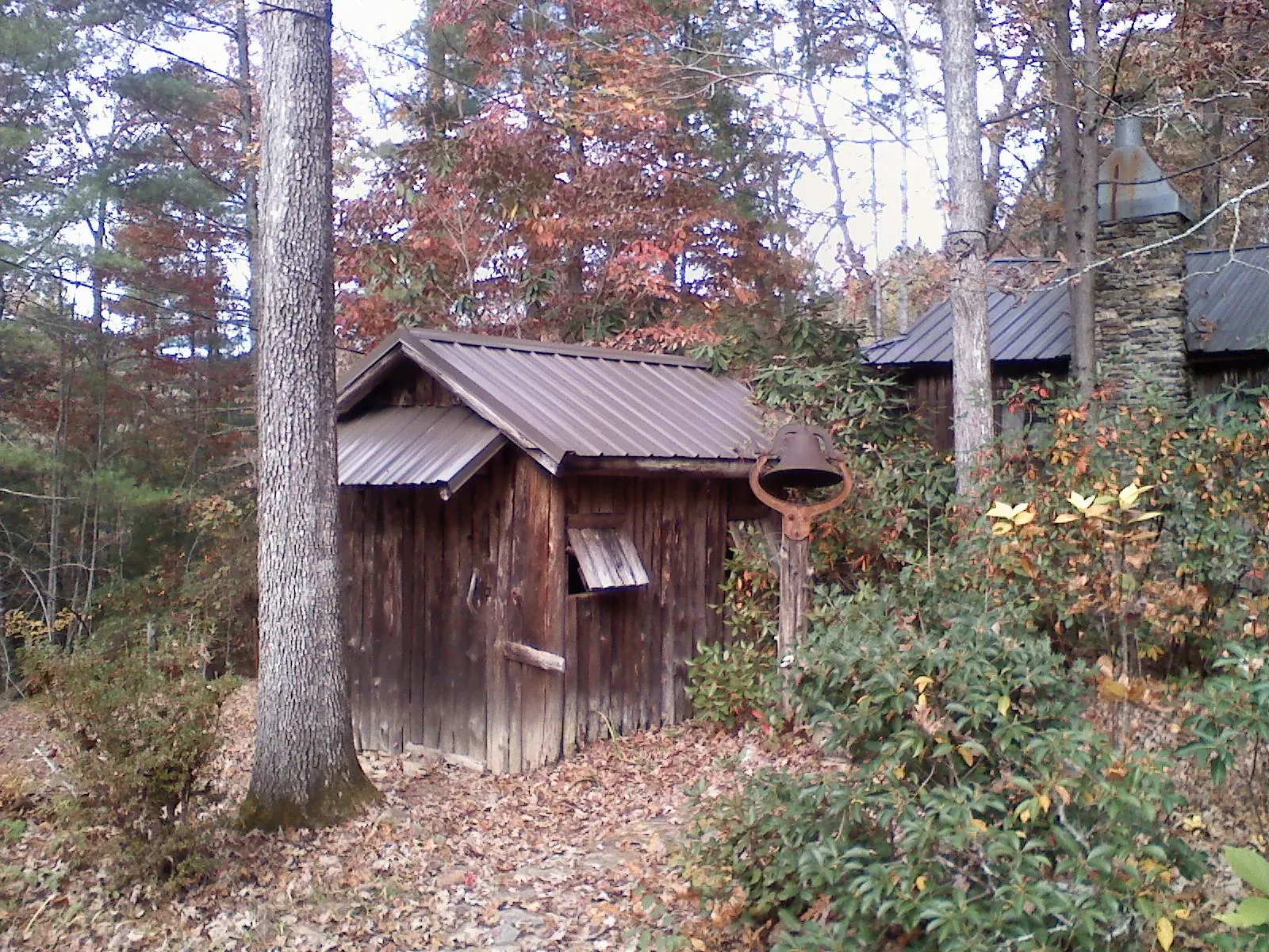Small metal roof on a rough sawn shed in the woods in Eaton